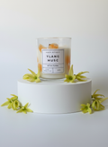 bougie parfumée ylang musc